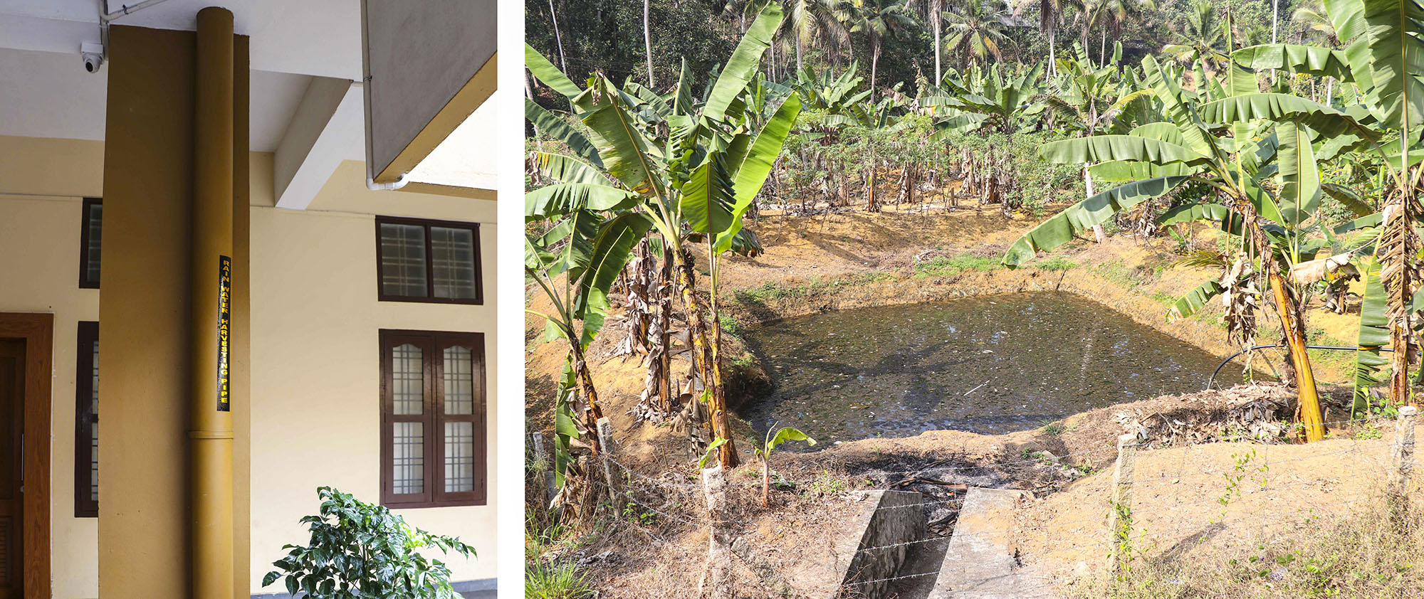 Green Rainwater Harvesting